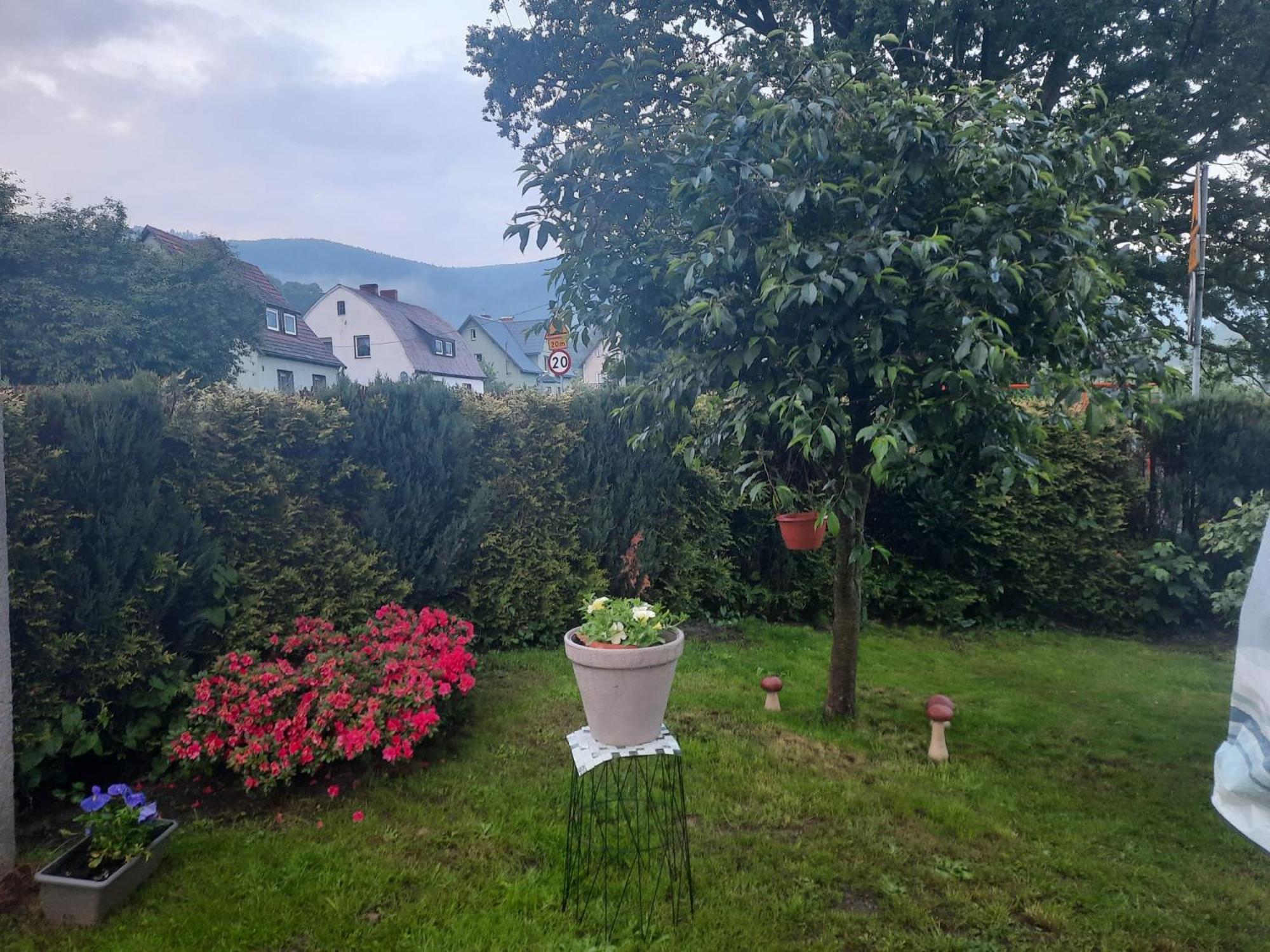 Pod Debem Apartment Jugów Екстериор снимка