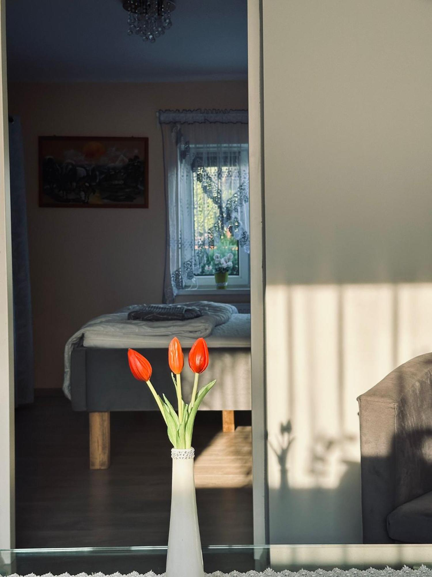 Pod Debem Apartment Jugów Екстериор снимка